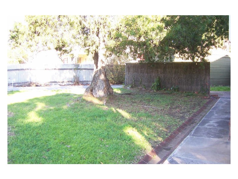 62 Birdwood Terrace, Plympton SA 5038