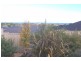 159 Grand Boulevard, Seaford Rise SA 5169