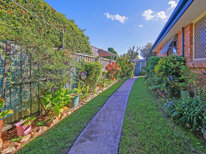 84 Caladium Street, Wakerley QLD 4154