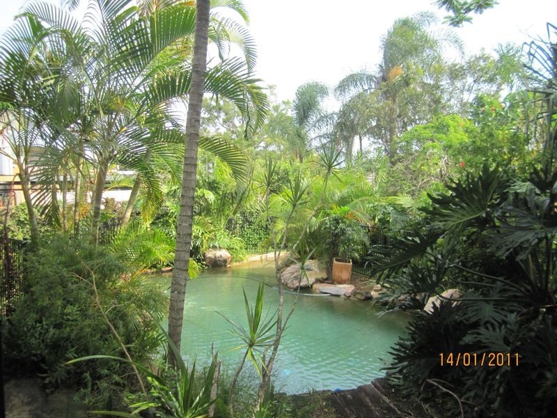 31 Fleetway Street, Morningside QLD 4170