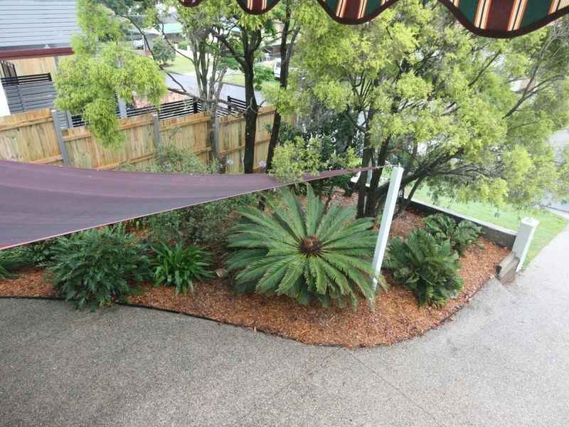 34 Renton Street, Camp Hill QLD 4152