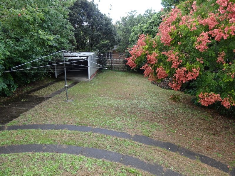 3 Henderson Street, Camp Hill QLD 4152