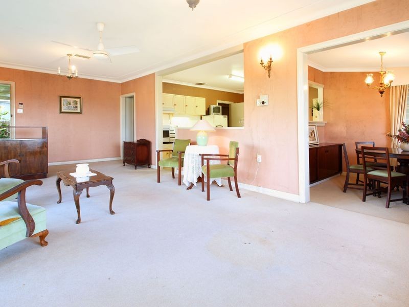 50 Lade Street, Coorparoo QLD 4151