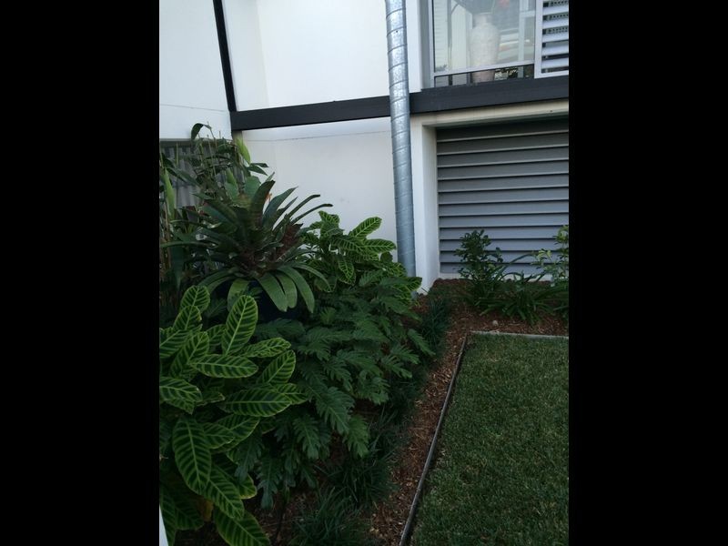 25/46 Addison Avenue, Bulimba QLD 4171