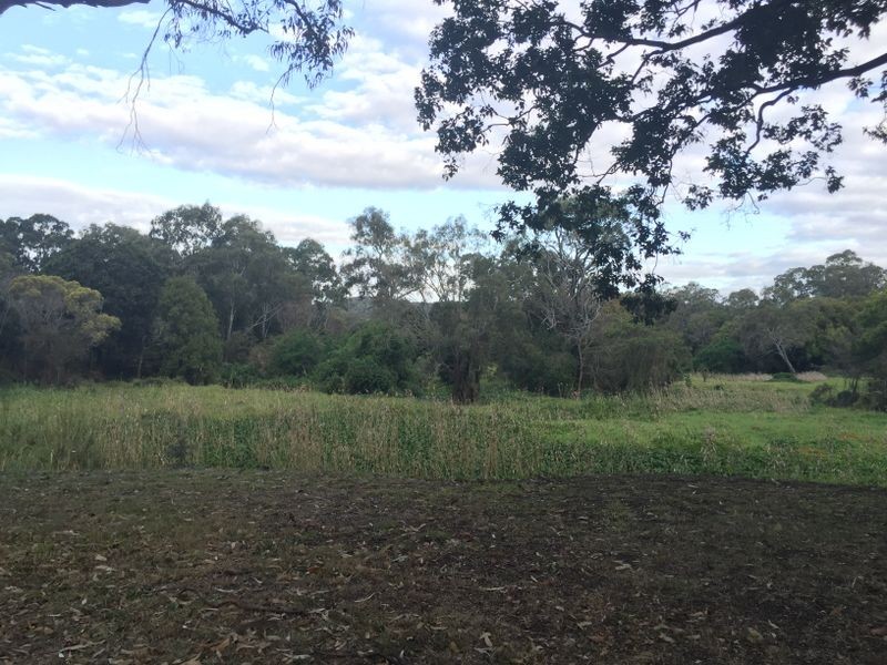 51 Bedivere Street, Carindale QLD 4152