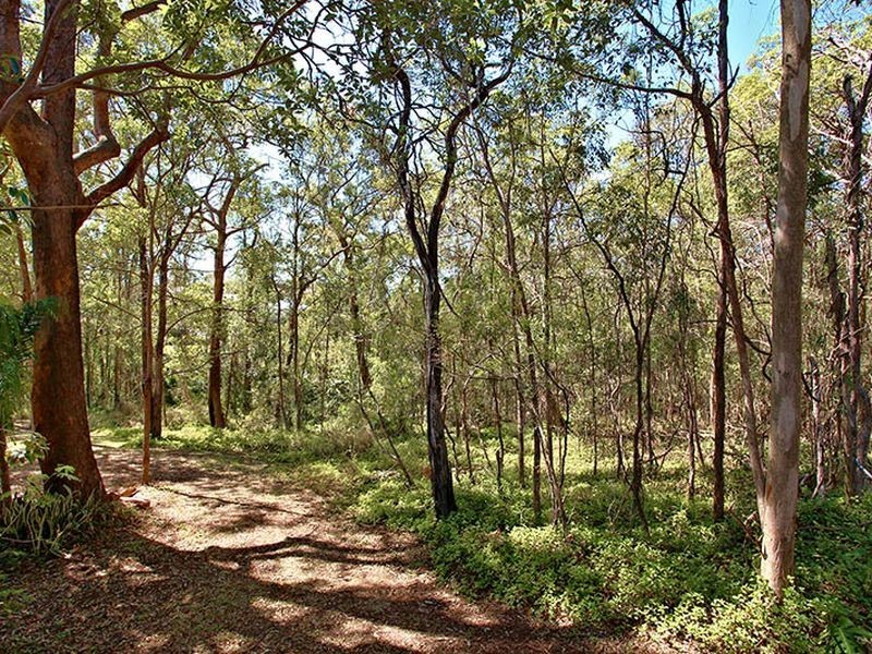 234 Gallipoli Road, Carina Heights QLD 4152