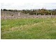 Lot 4 Dennis Road, Auburn SA 5451