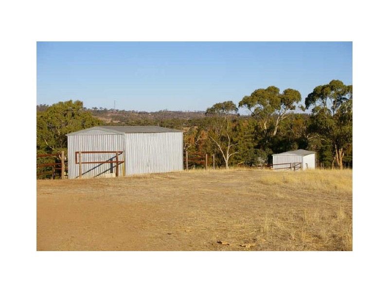 Armagh via, Clare SA 5453