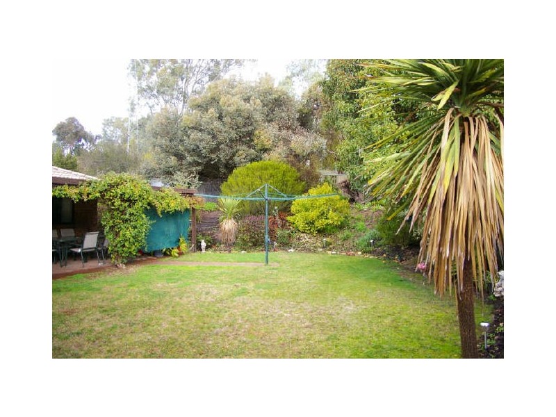 41 Burton Street, Clare SA 5453