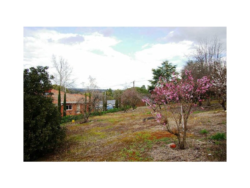 25 Tilbrook Avenue, Clare SA 5453