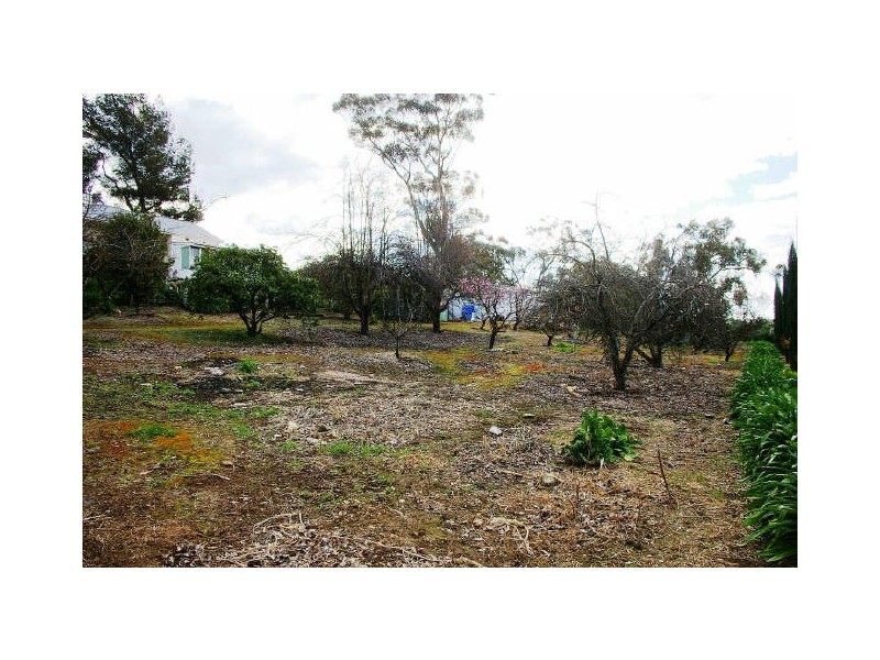 25 Tilbrook Avenue, Clare SA 5453