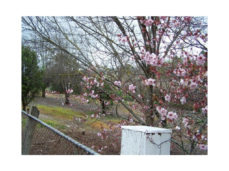 25 Tilbrook Avenue, Clare SA 5453