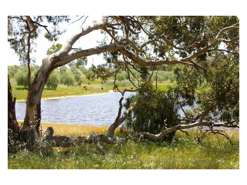 1/ Government Road, Clare SA 5453