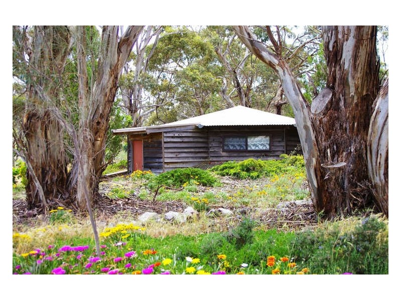 1/ Government Road, Clare SA 5453