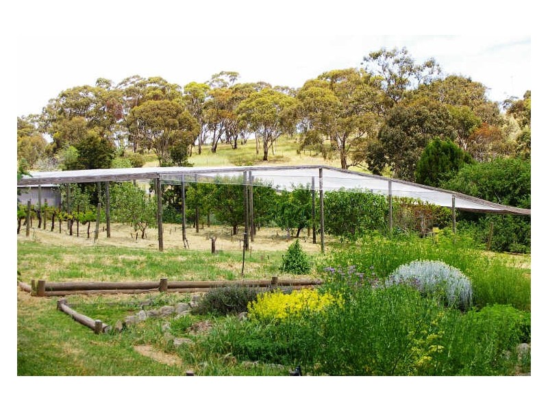 1/ Government Road, Clare SA 5453