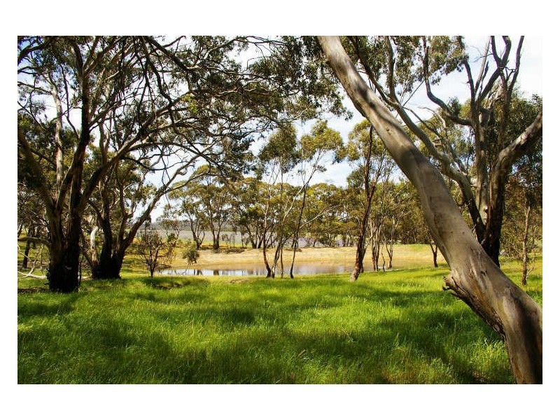 1/ Government Road, Clare SA 5453