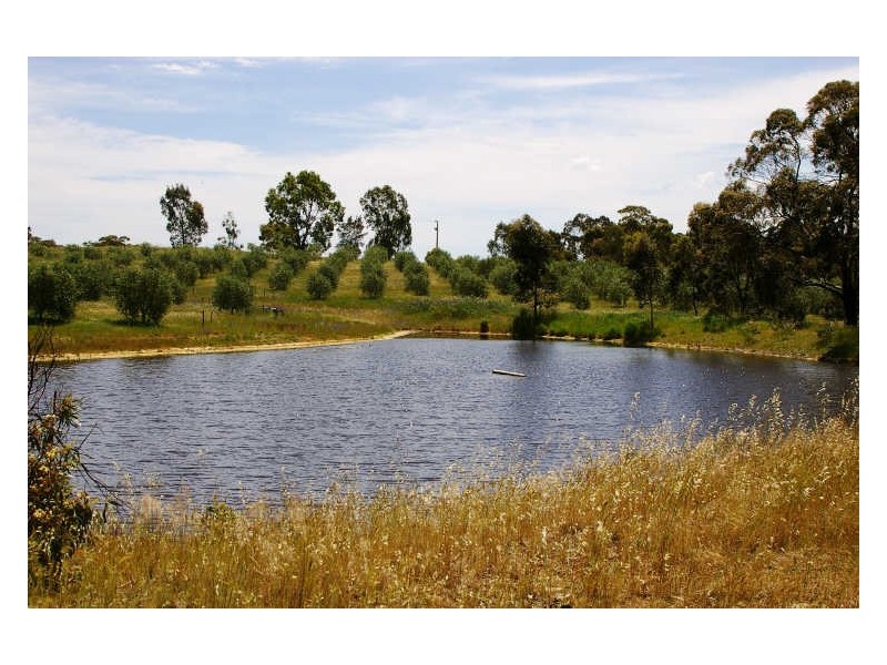 1/ Government Road, Clare SA 5453