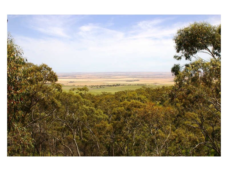 1/ Government Road, Clare SA 5453