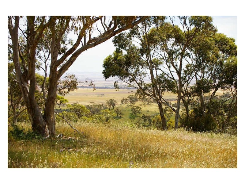 1/ Government Road, Clare SA 5453