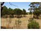 101 White Hut Road, Clare SA 5453