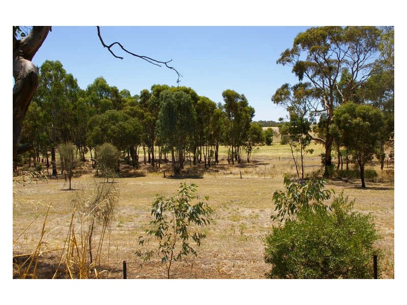 101 White Hut Road, Clare SA 5453