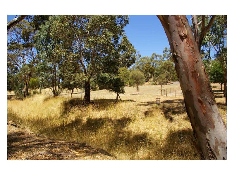 101 White Hut Road, Clare SA 5453