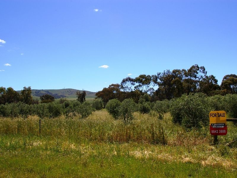 Government Road, Lochiel SA 5510