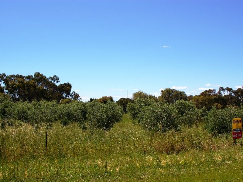 Government Road, Lochiel SA 5510