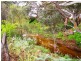River Road, Koolunga SA 5464