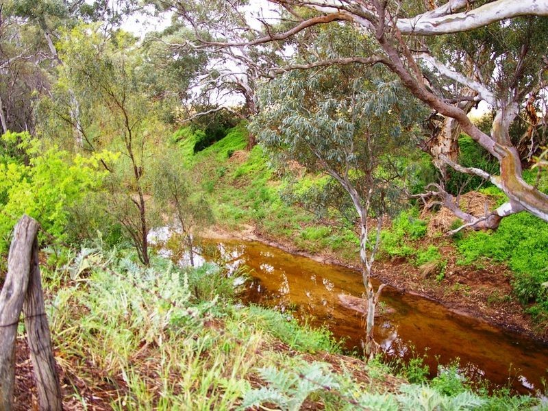 River Road, Koolunga SA 5464