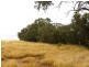 River Road, Koolunga SA 5464