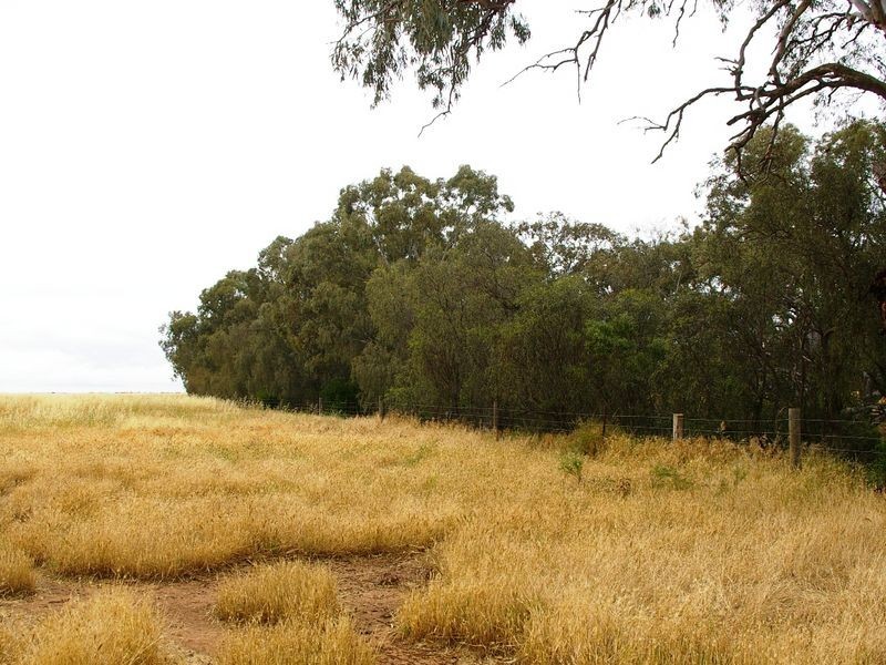 River Road, Koolunga SA 5464