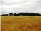 River Road, Koolunga SA 5464