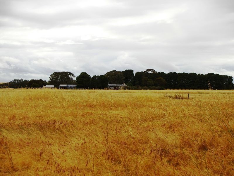 River Road, Koolunga SA 5464