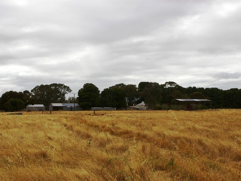 River Road, Koolunga SA 5464