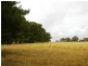 River Road, Koolunga SA 5464