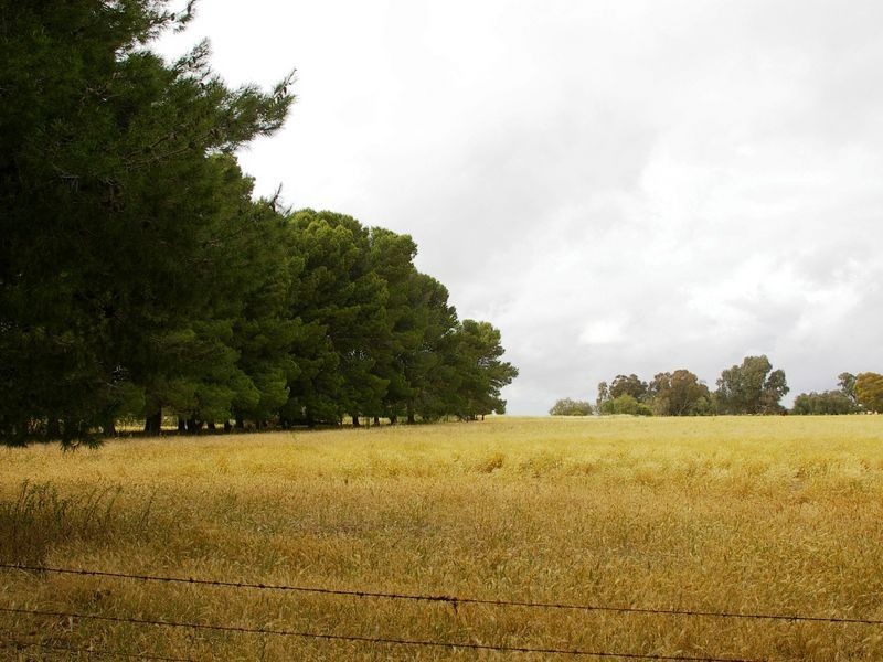 River Road, Koolunga SA 5464