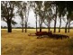River Road, Koolunga SA 5464