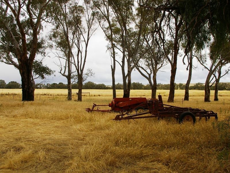 River Road, Koolunga SA 5464