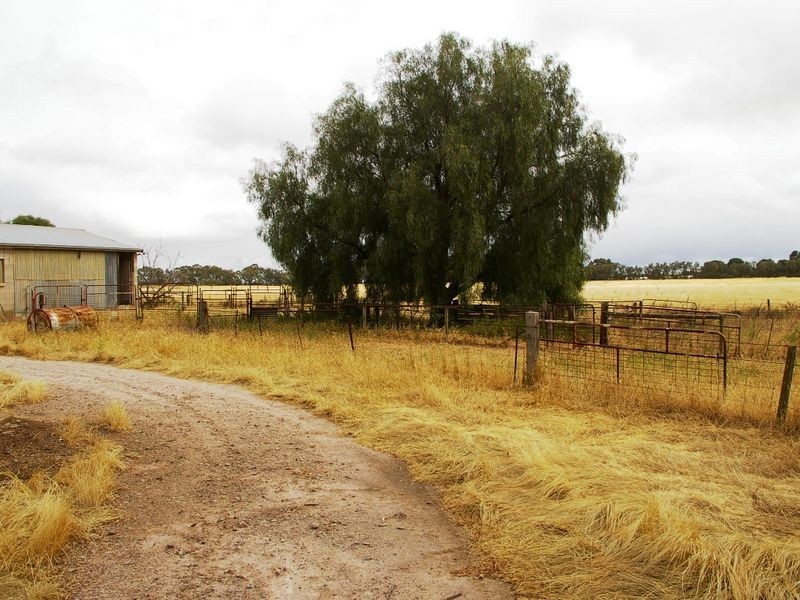 River Road, Koolunga SA 5464