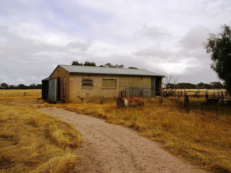 River Road, Koolunga SA 5464