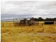 River Road, Koolunga SA 5464