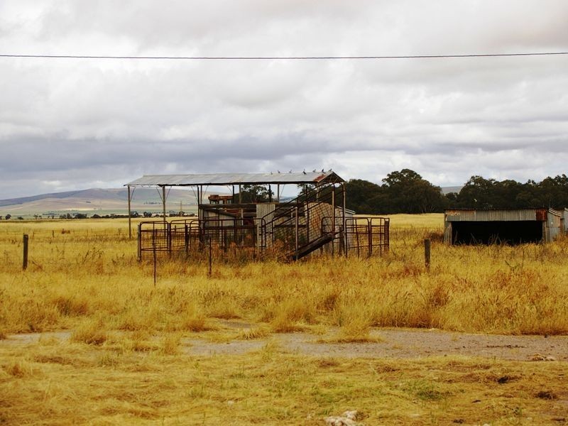 River Road, Koolunga SA 5464