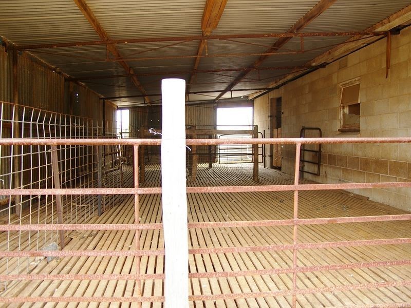 River Road, Koolunga SA 5464