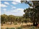 Blockers Road, Clare SA 5453