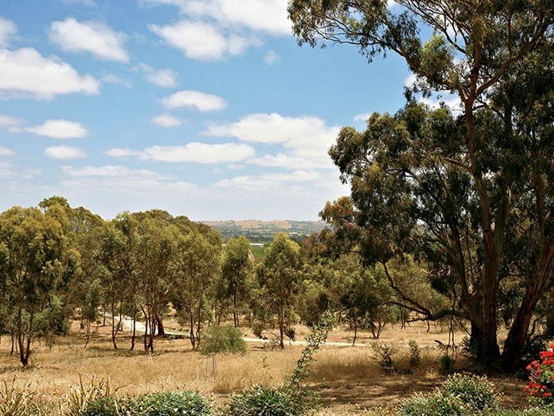 Blockers Road, Clare SA 5453