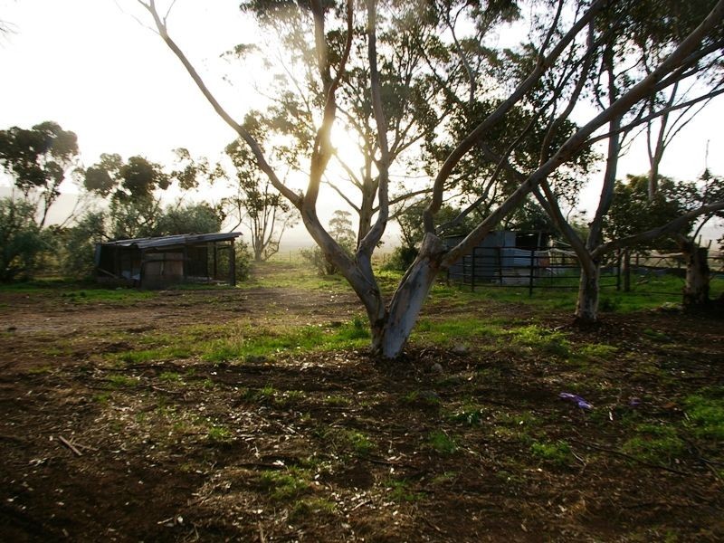 Lot 401 Stock Route Road, Robertstown SA 5381