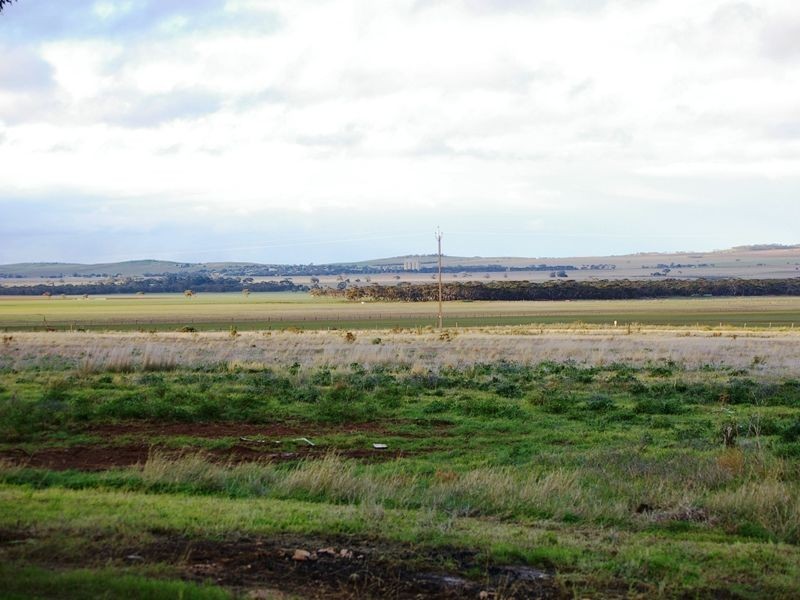 Lot 401 Stock Route Road, Robertstown SA 5381