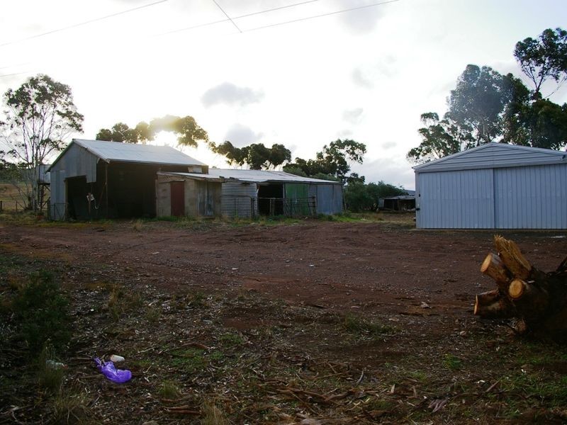 Lot 401 Stock Route Road, Robertstown SA 5381