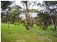 Lot 44 Norman Drive, Clare SA 5453